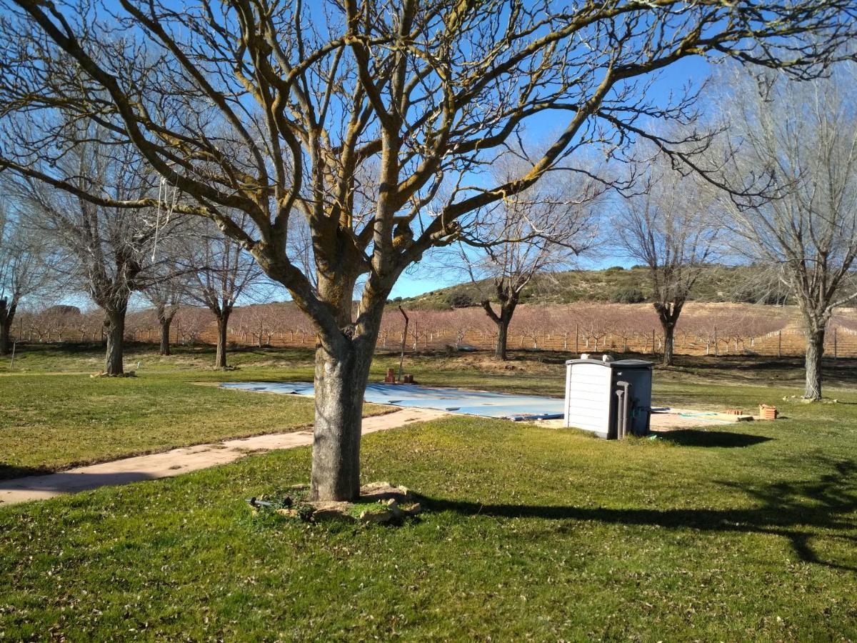 Casa Rural La Galana Albacete Chinchilla de Monte Aragon Εξωτερικό φωτογραφία