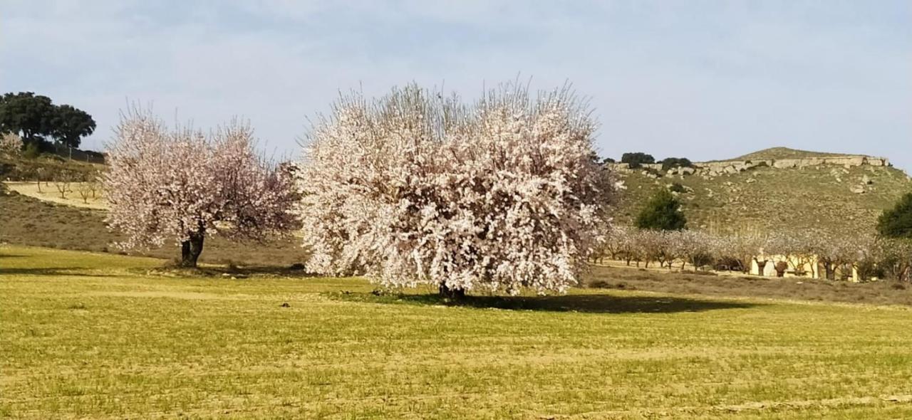 Casa Rural La Galana Albacete Chinchilla de Monte Aragon Εξωτερικό φωτογραφία