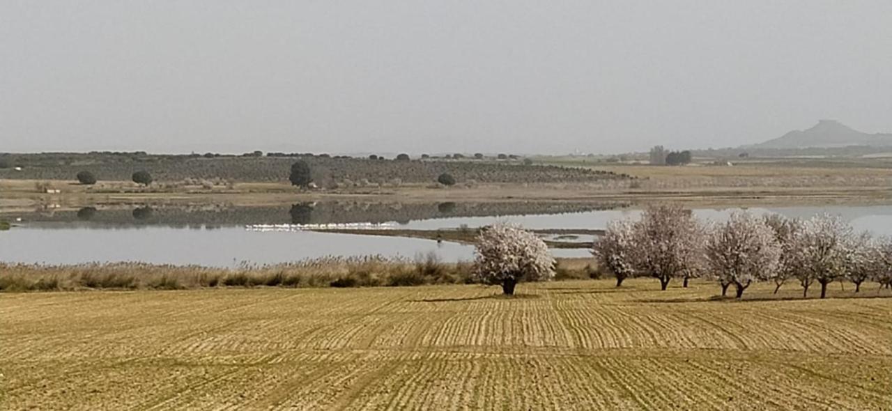 Casa Rural La Galana Albacete Chinchilla de Monte Aragon Εξωτερικό φωτογραφία
