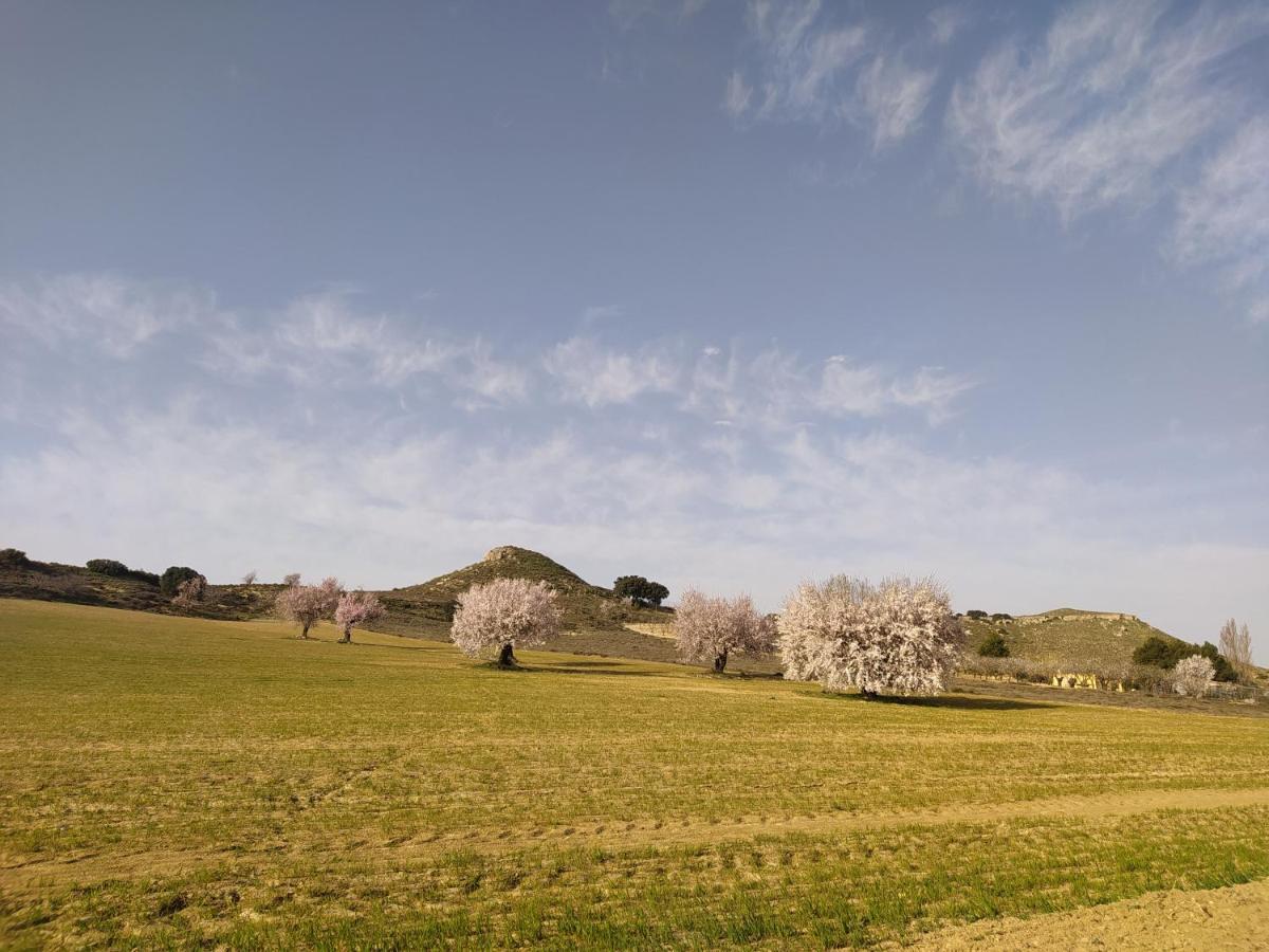 Casa Rural La Galana Albacete Chinchilla de Monte Aragon Εξωτερικό φωτογραφία